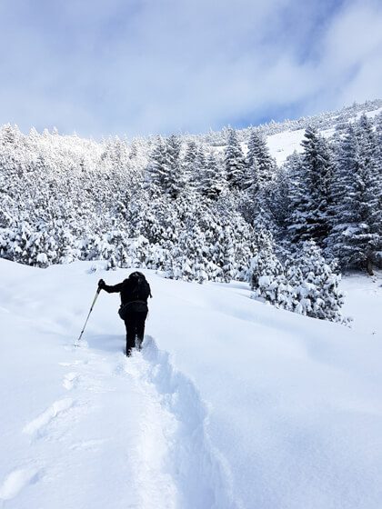 Schneeschuhtouren Schneeschuhtouren