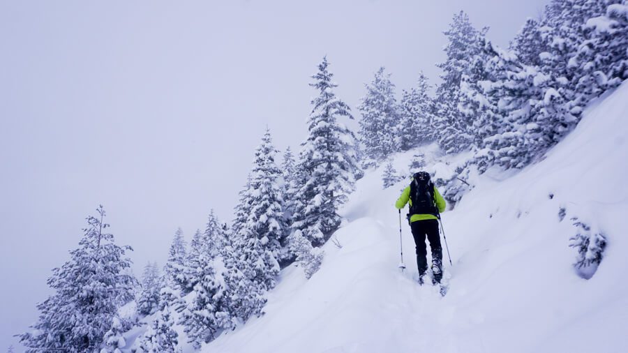Winterwandern-Schnee wandern im Nebel
