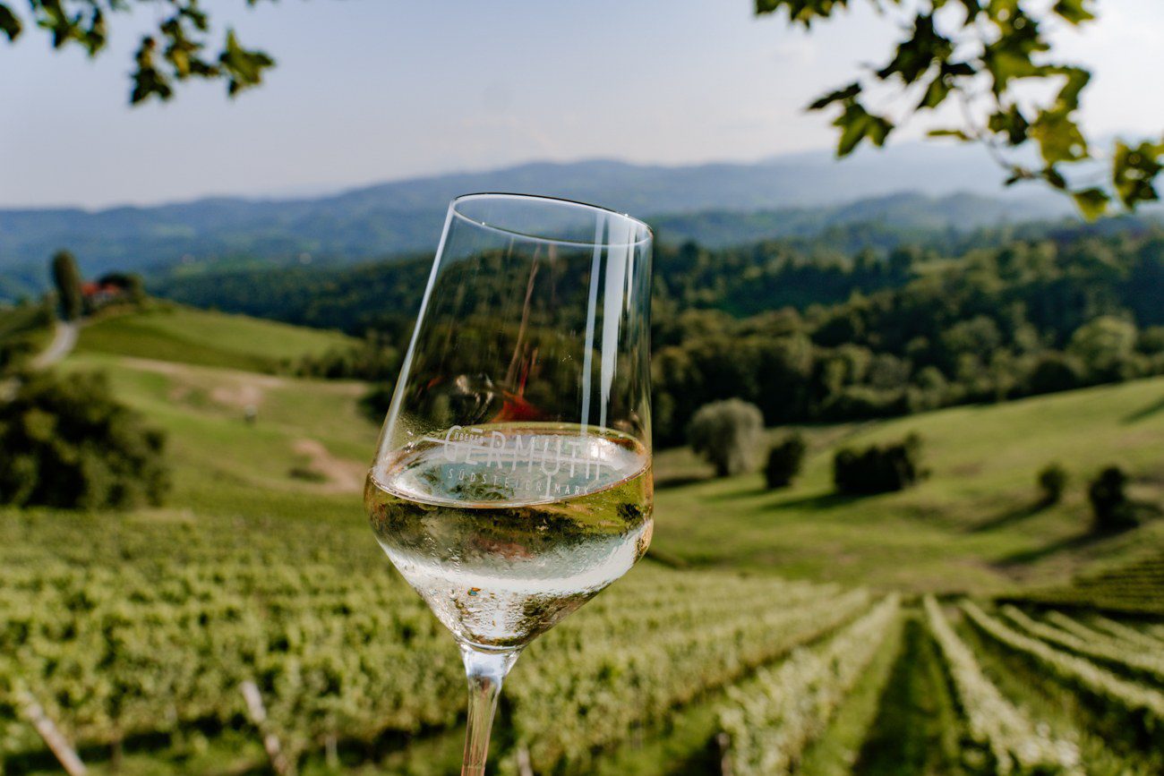 Besuch Weingut und Buschenschank