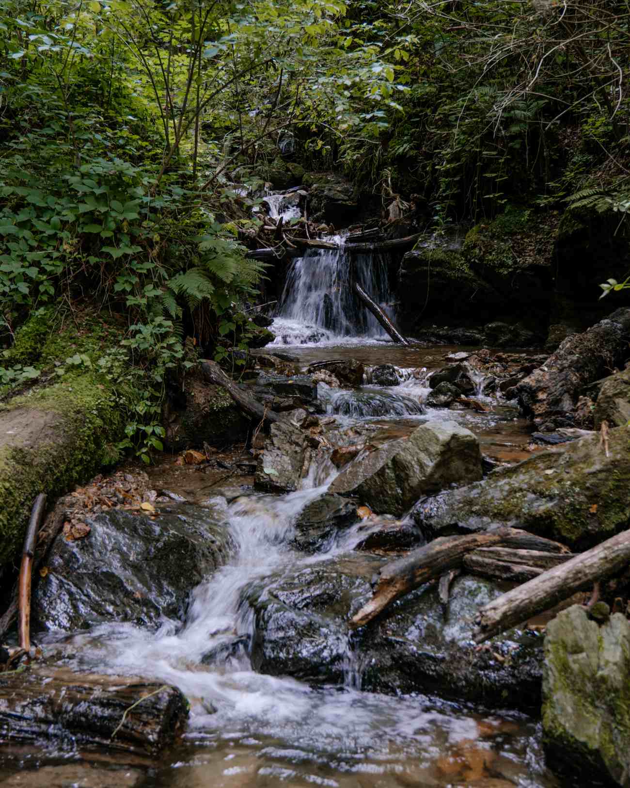 Wanderung durch die Heiligengeistklamm