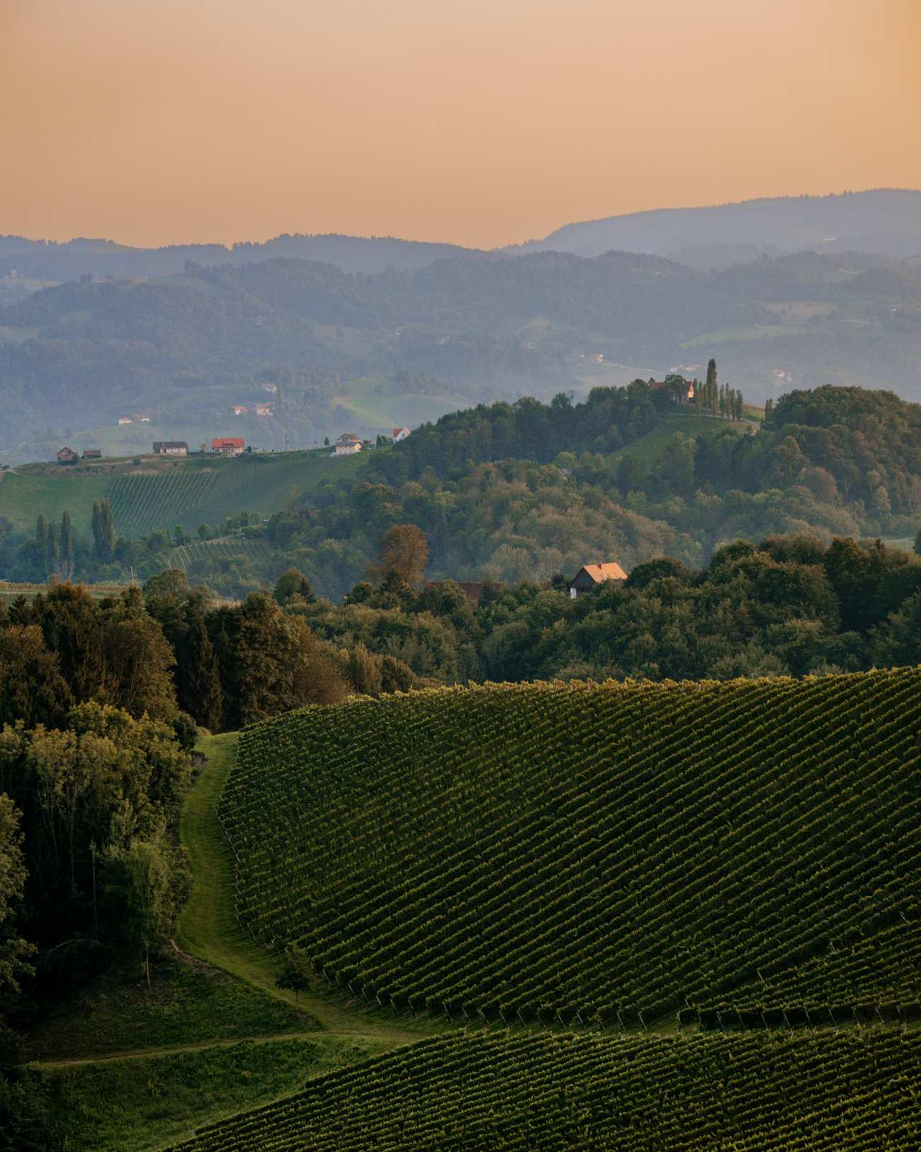 Sonnenuntergangsstimmung über der Südsteiermark