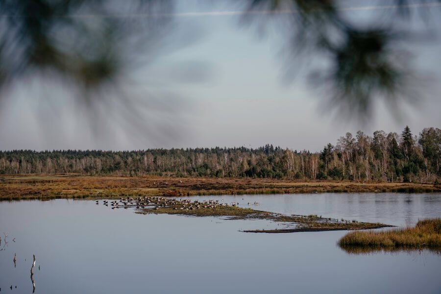 2024-Chiemsee-Moor-BadFeilnbach2 Moorerlebnis Sterntaler Filze