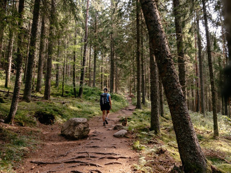 2024-08-Schwarzwald-Jägersteig Auf dem Jägersteig