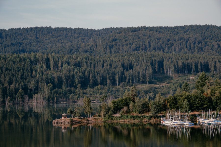 2024-08-Schwarzwald-Schluchsee Entlang des Schluchsees