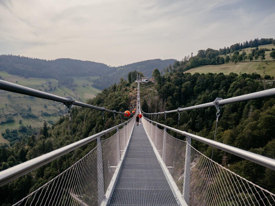 2024-08-Schwarzwald-Wasserfallsteig-10 Blackforestline