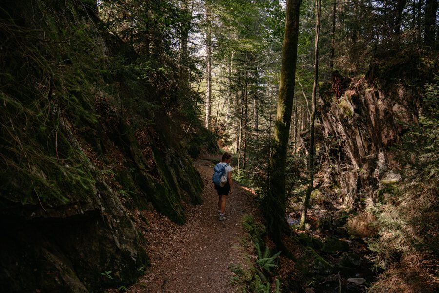 2024-08-Schwarzwald-Wasserfallsteig-2 Wanderung durch die Schlucht