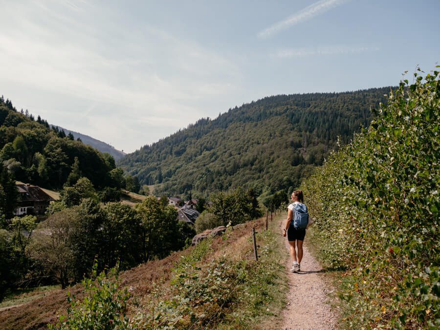 2024-08-Schwarzwald-Wasserfallsteig-5 Ausblick Wasserfallsteig