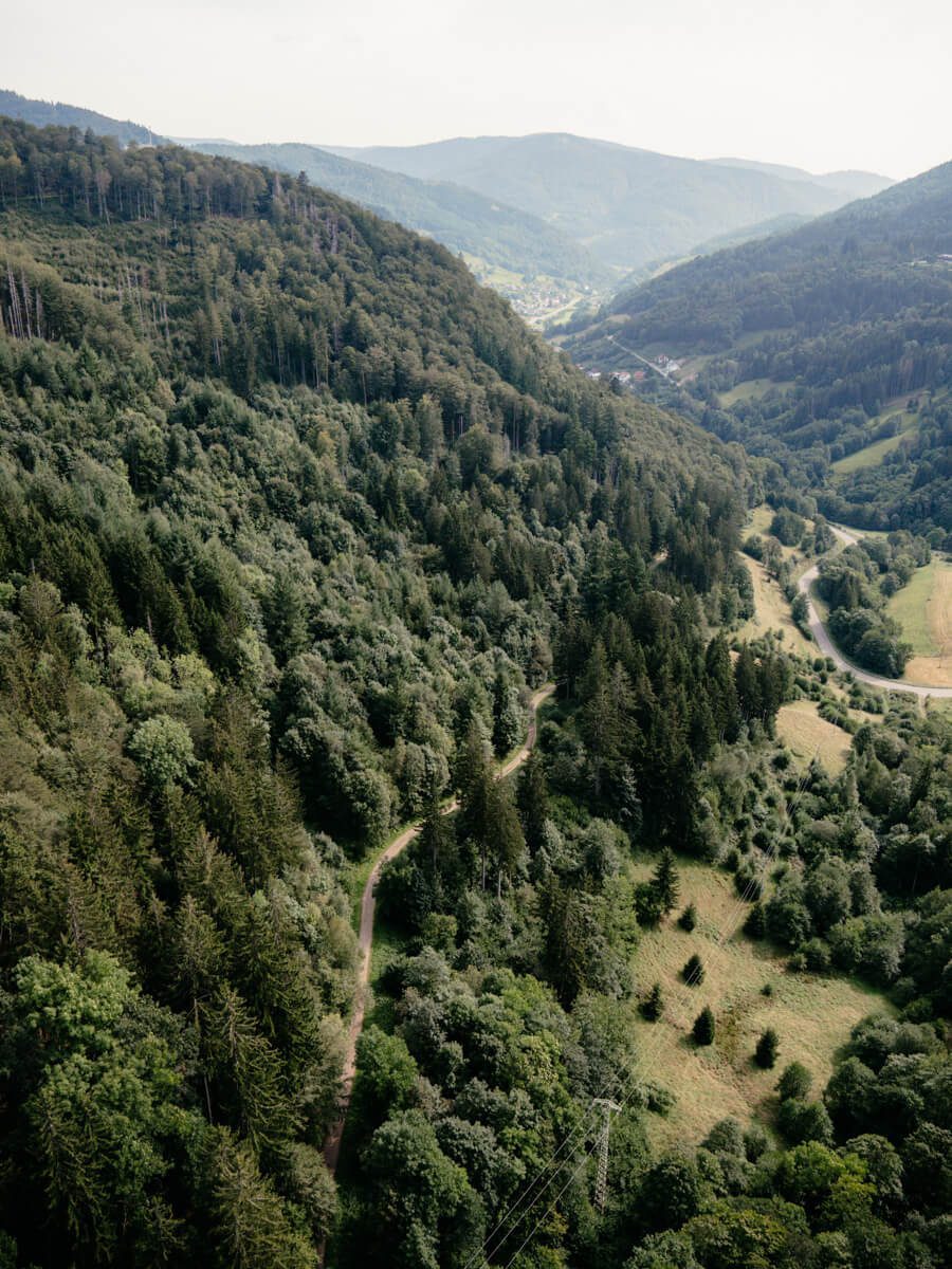 2024-08-Schwarzwald-Wasserfallsteig-8 Ausblick Hängebrücke Blackforestline