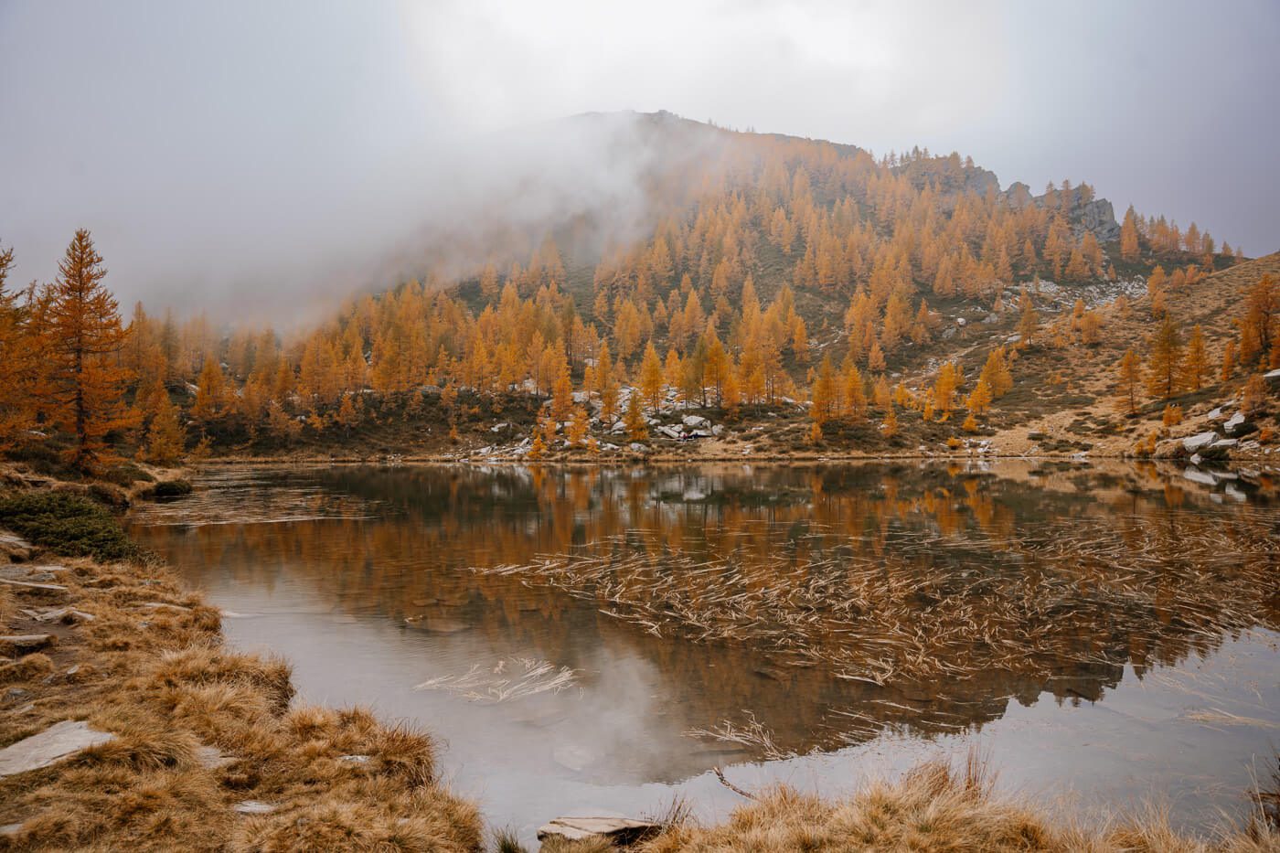 Herbstfärbung am Lago Salei