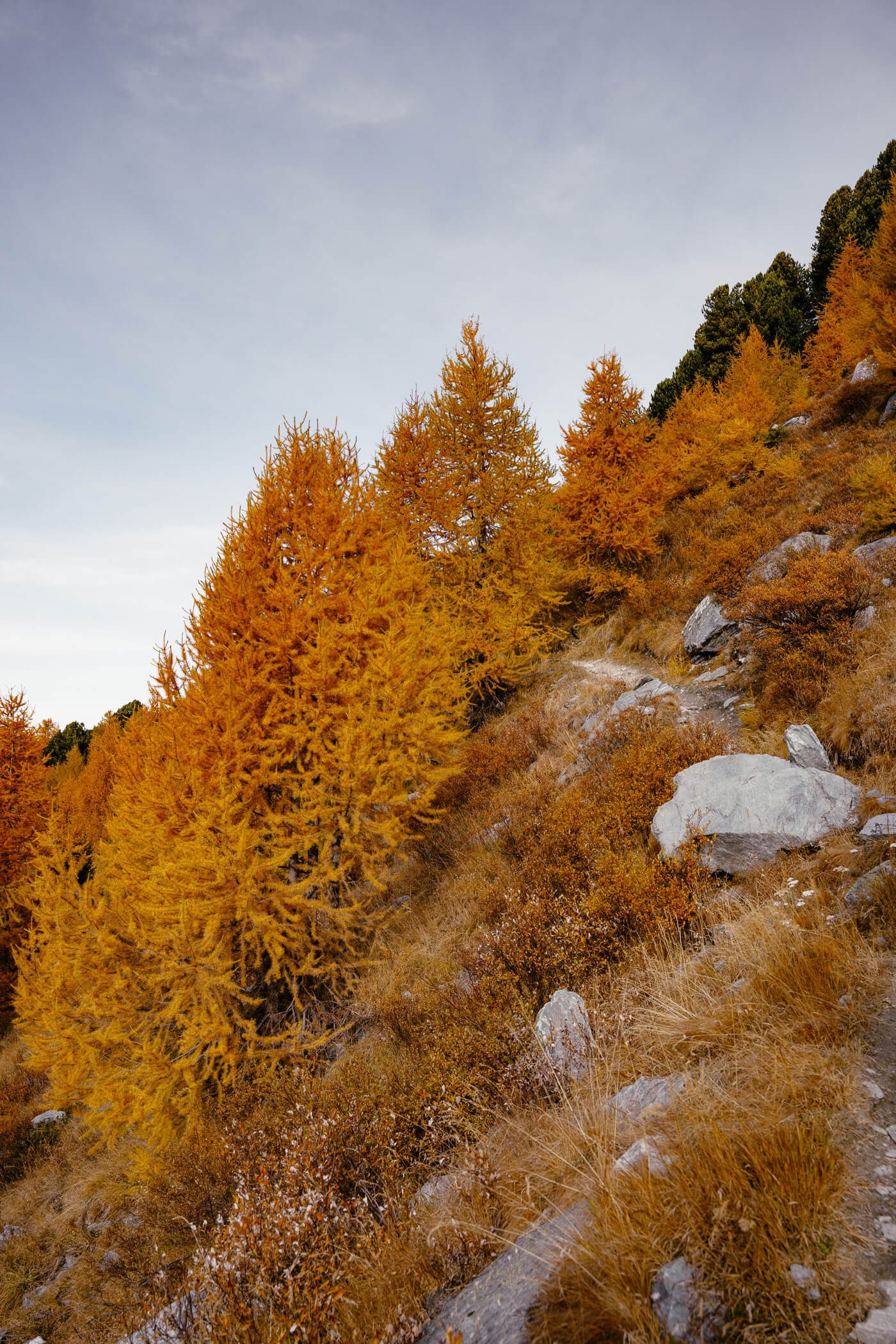 Bunte Lärchen Wanderung