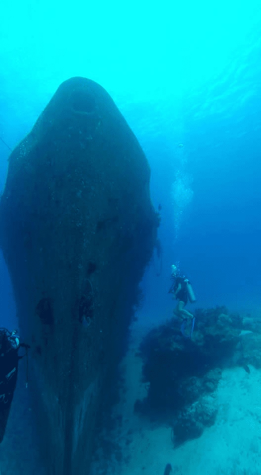 Schiffswrack Tauchen