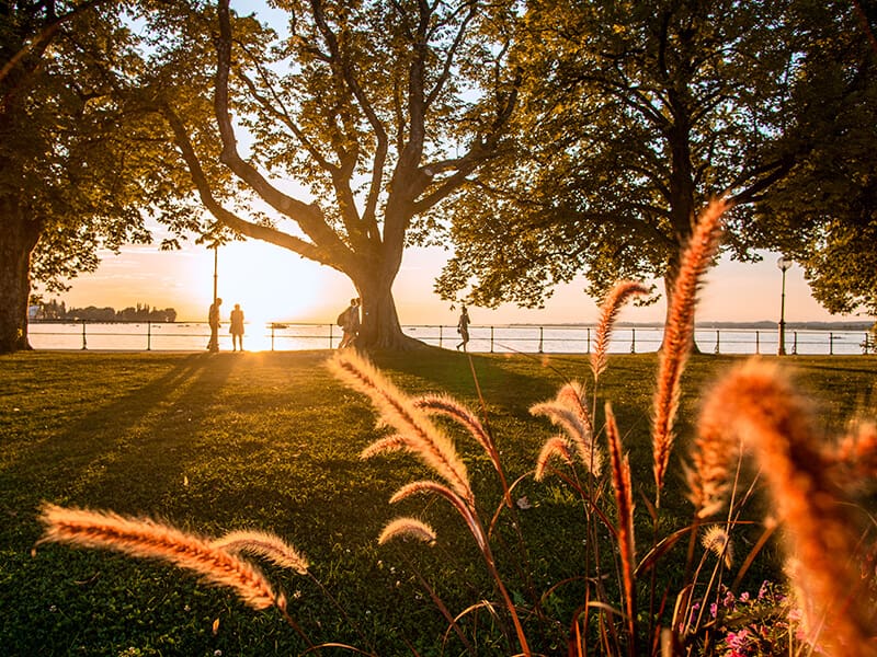 Die perfekte Tagesabschluss