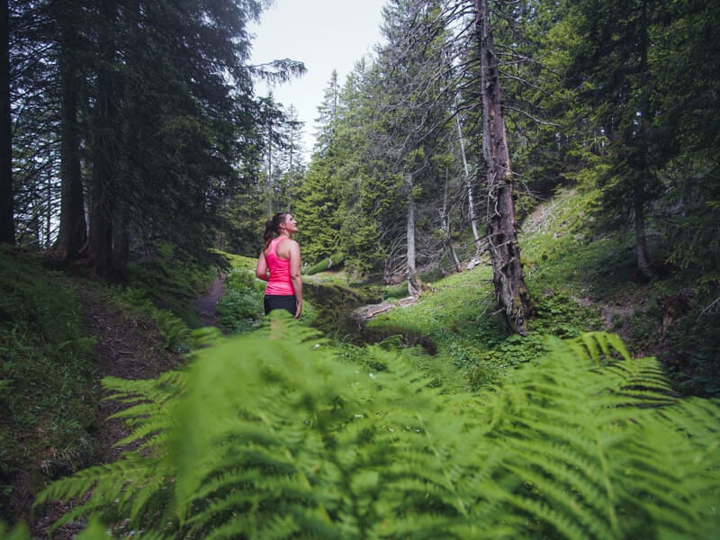 Waldbaden Hochgerach