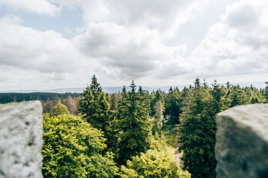 Ausblick vom Süntelturm