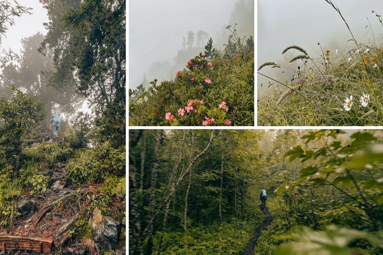 Aufstieg zum Arvigrat