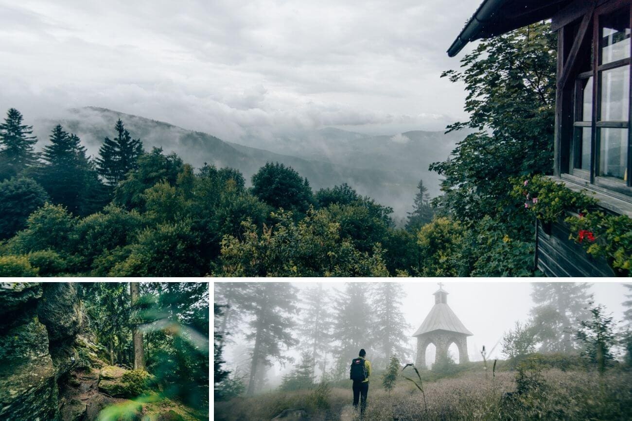 Wandern im Nebel im Bayerischen Wald