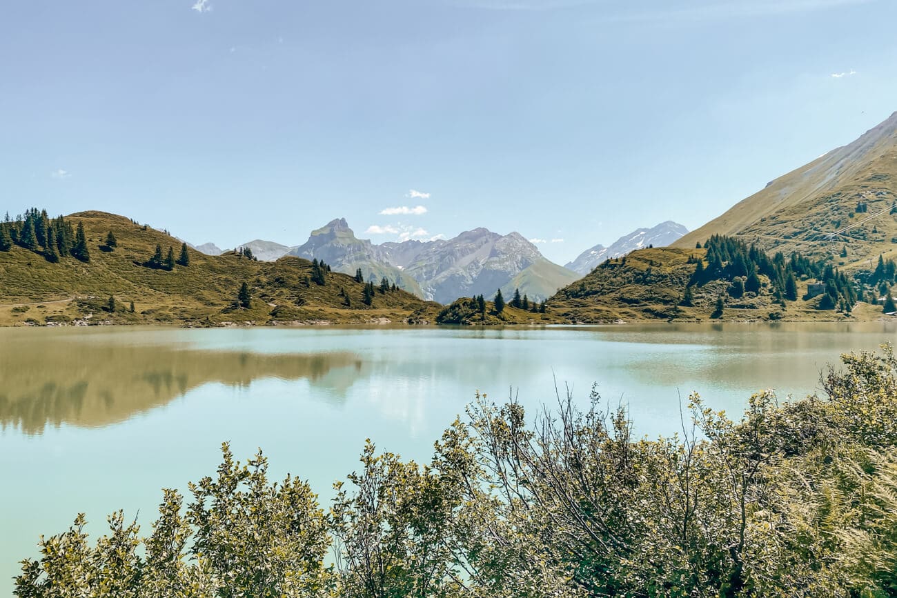 Panoramablick Trüebsee