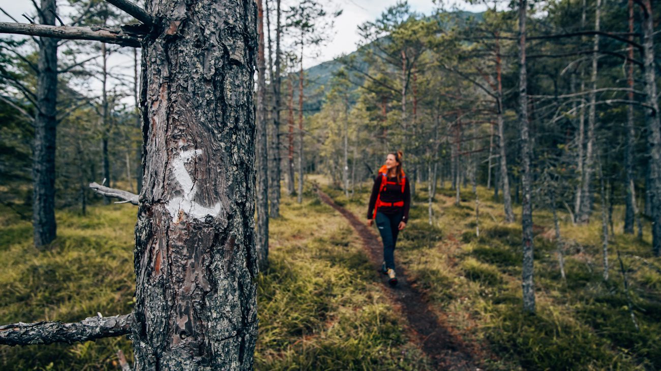 Wanderung im Märchenwald