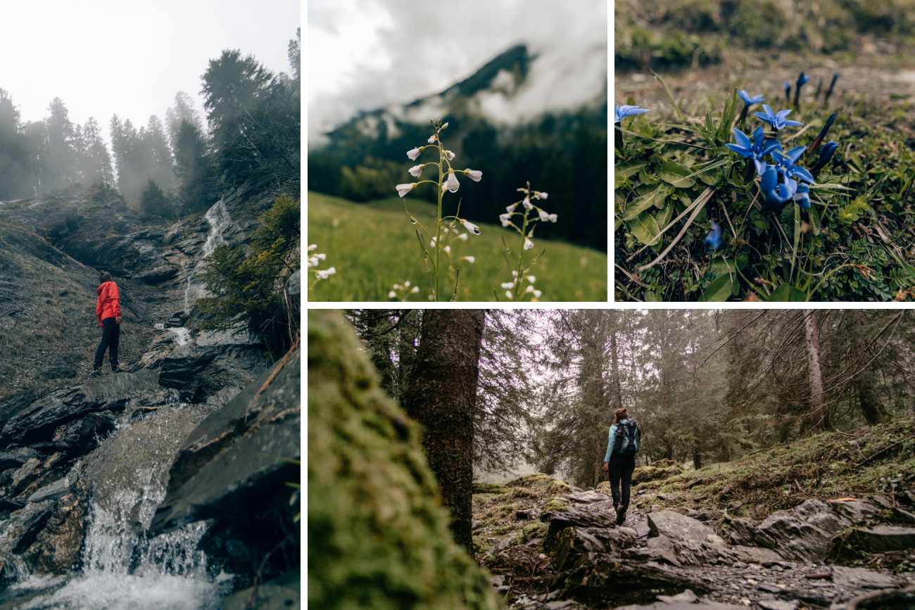 Abwechslungsreiche Wanderung auf die Hohe Kugel