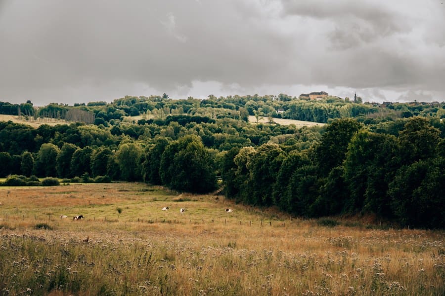 Ausblicke auf Etappe 9: Schloss Hachenburg