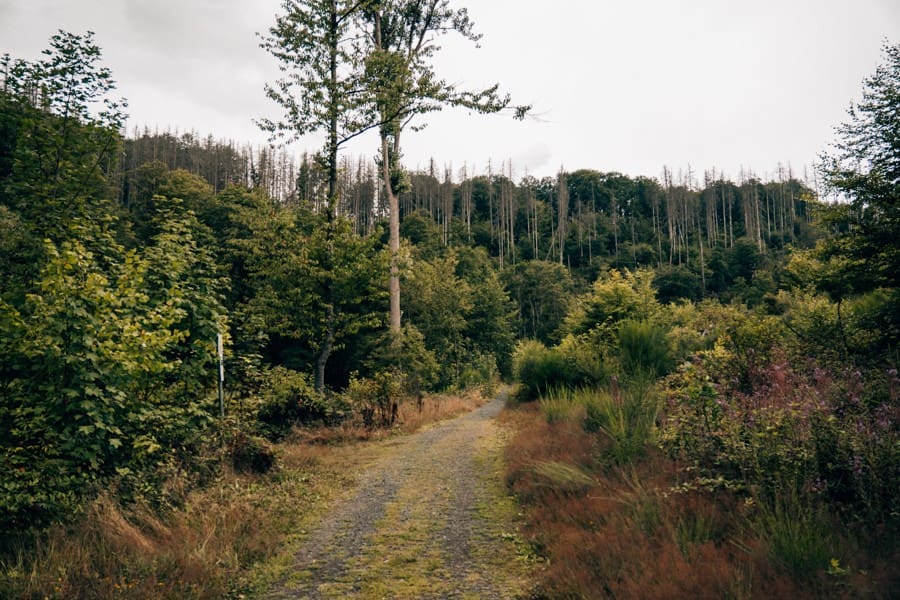 Landschaft im Westerwald