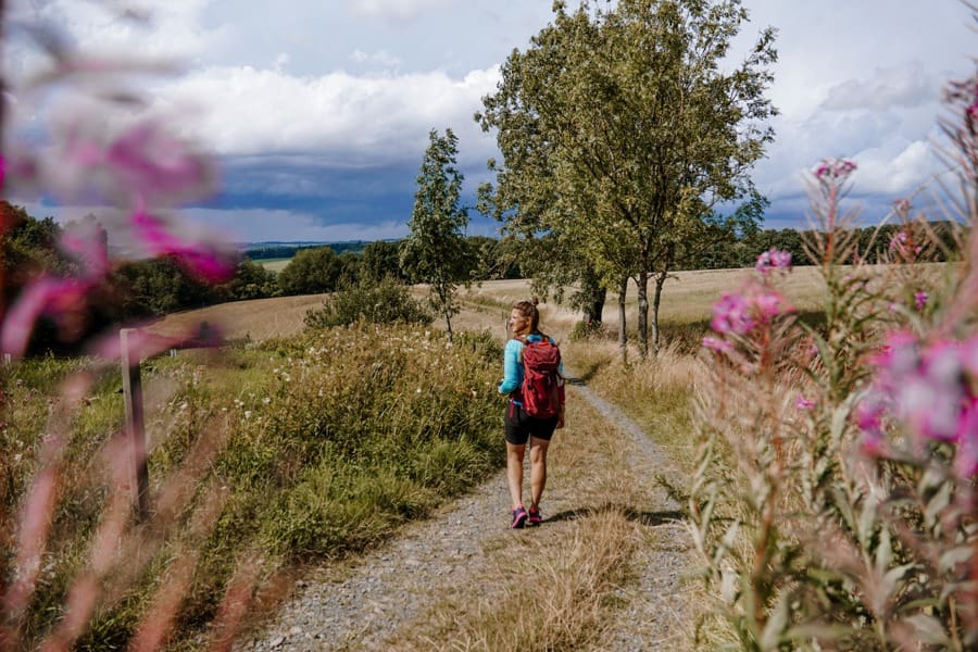 Wanderweg nach Hachenburg