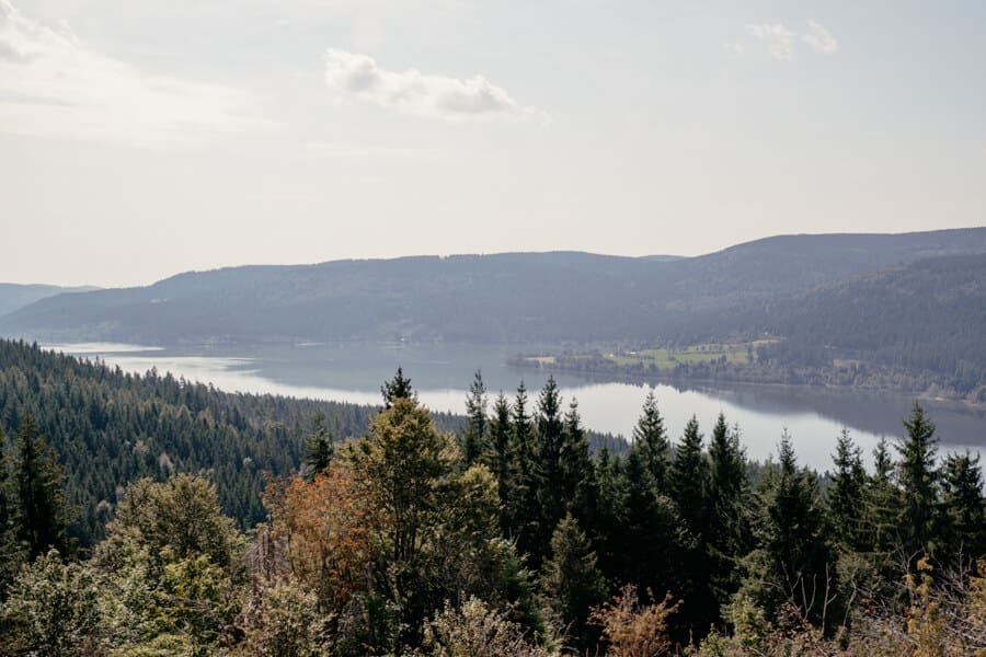 Traumhafter Ausblick vom Bildstein