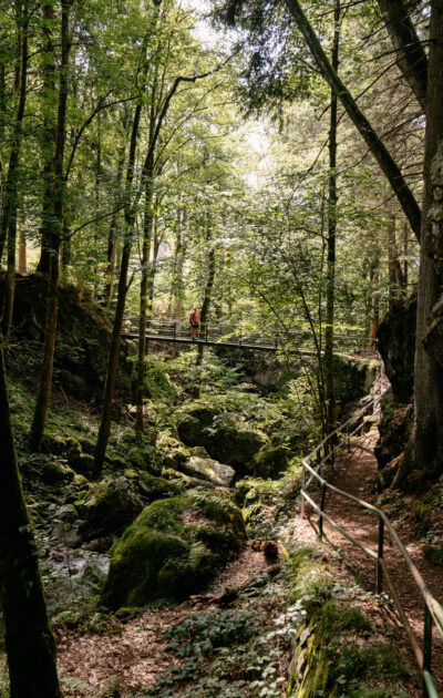 Durch die Wolfsschlucht