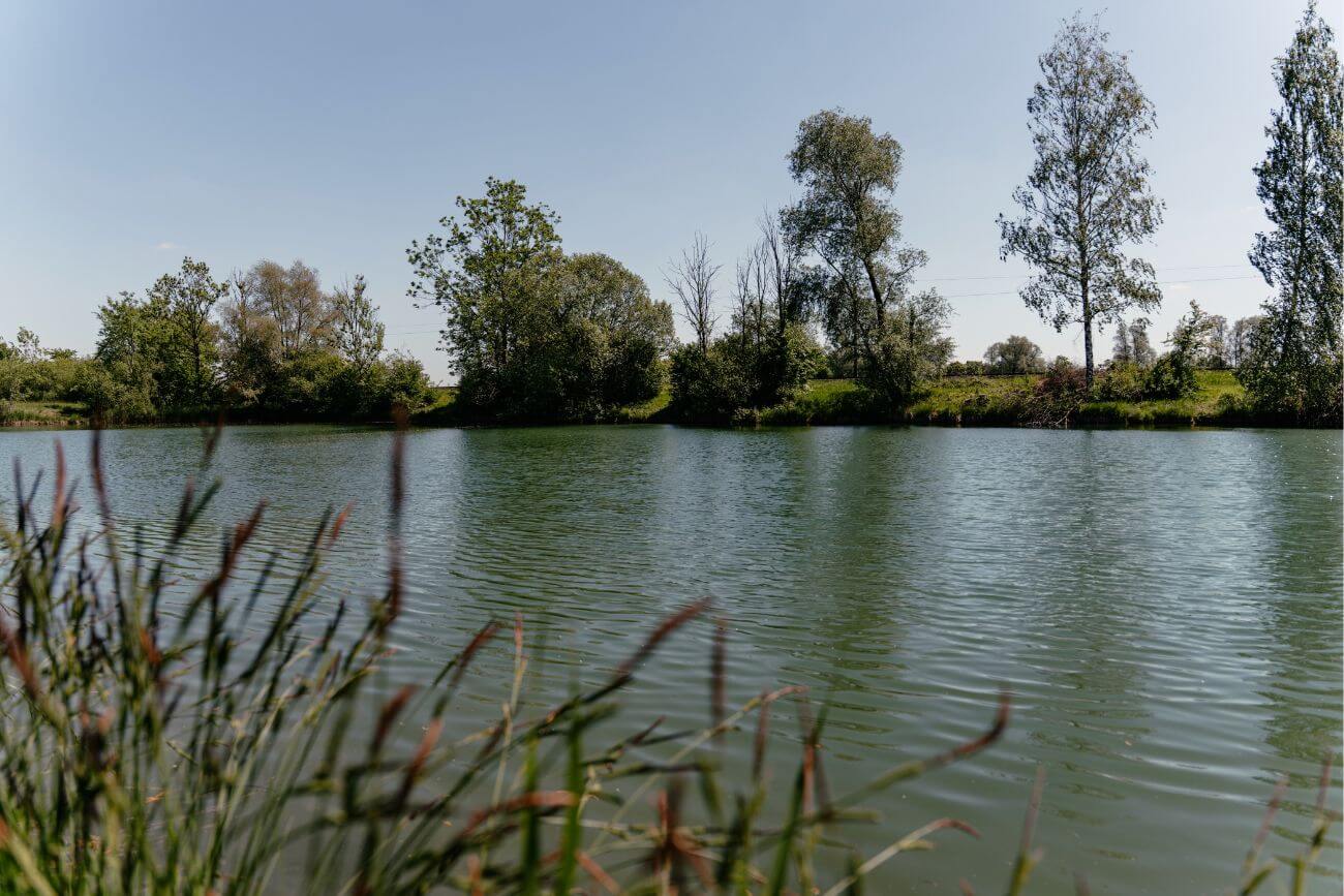 Blick auf einen idyllisch gelegenen See im Dillinger Land