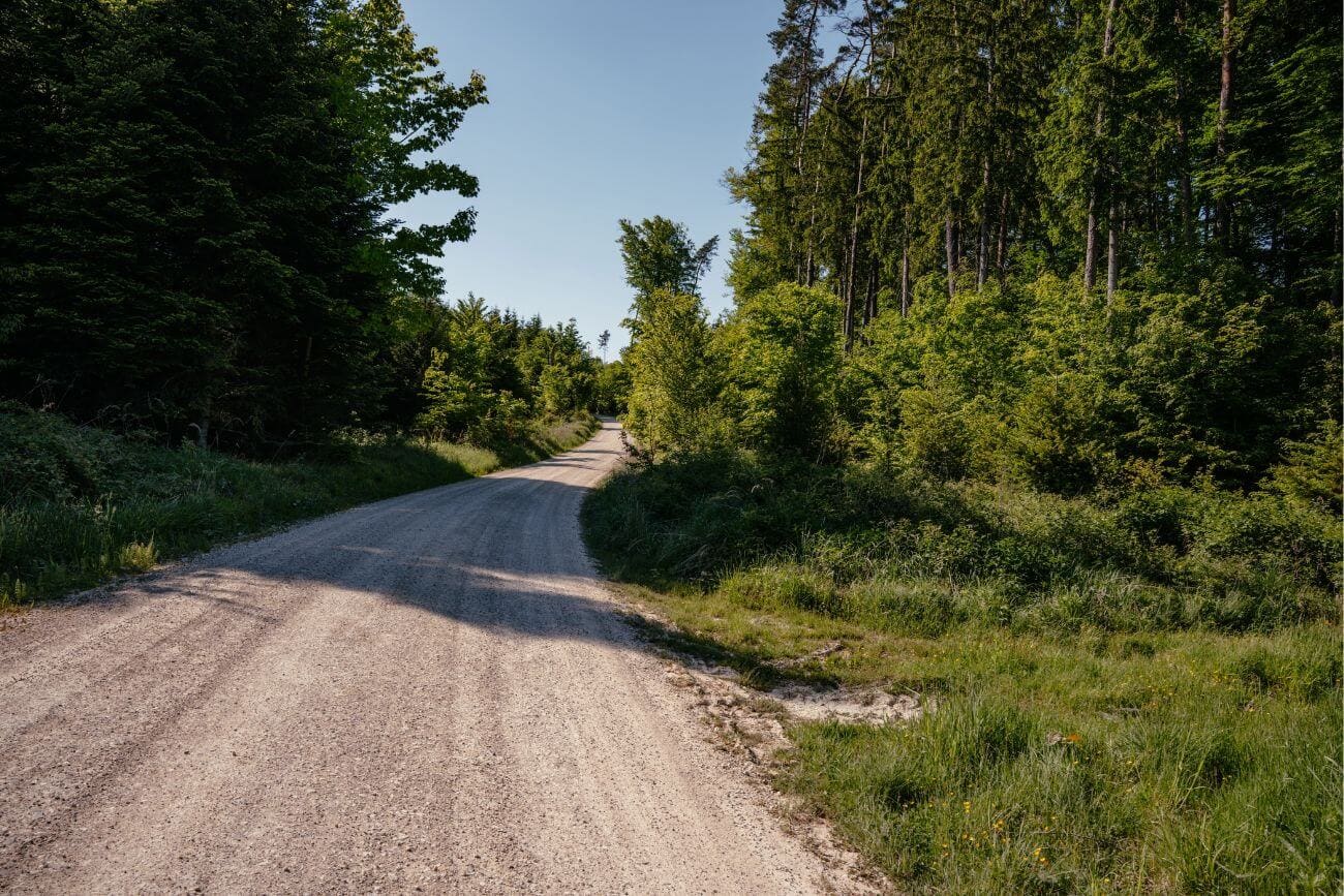 Waldradweg perfekt für Gravelfahrer