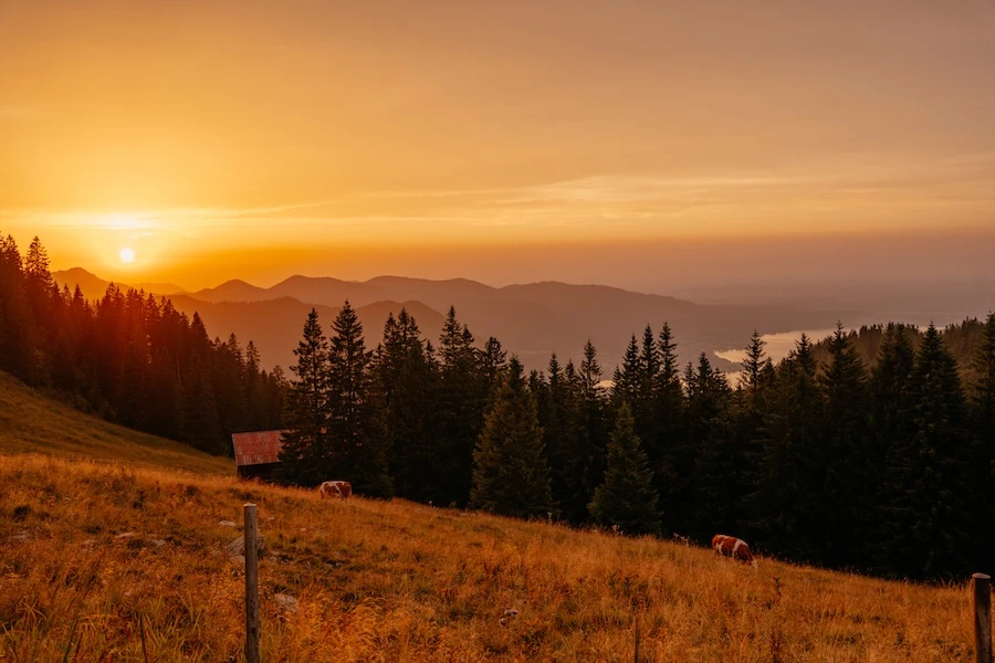 2025-08-13-Spitzingsee-Rosskopf-Wallberg147 Sonnenuntergang vom Alten Wallberghaus