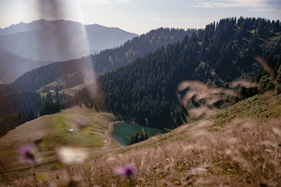 2025-08-13-Spitzingsee-Rosskopf-Wallberg50 See auf dem Weg zum Roßkopf