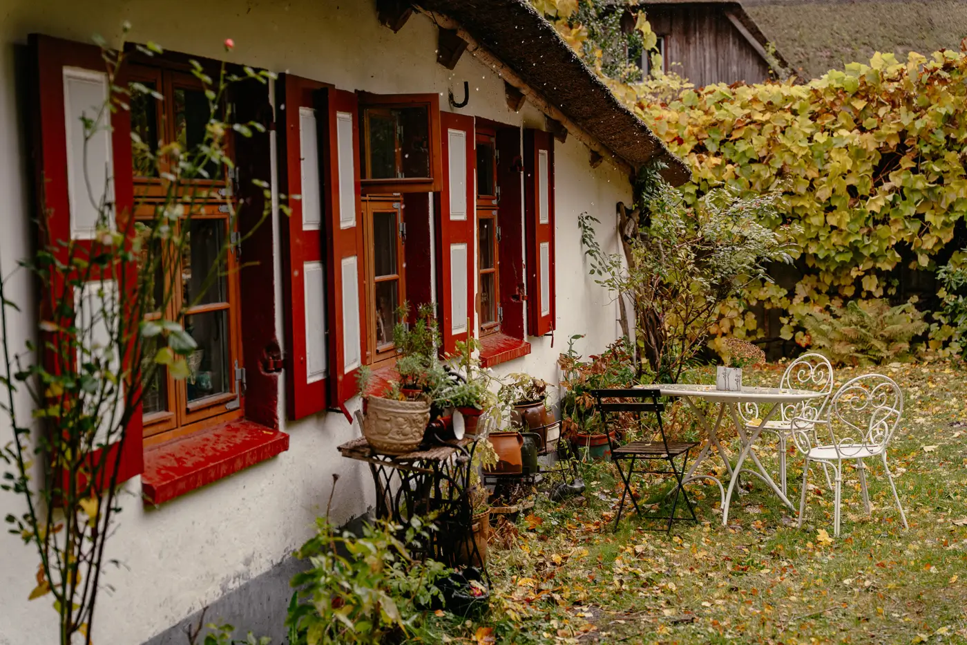 2025-10-30-Ahrenshoop47 Dornenhaus in Ahrenshoop