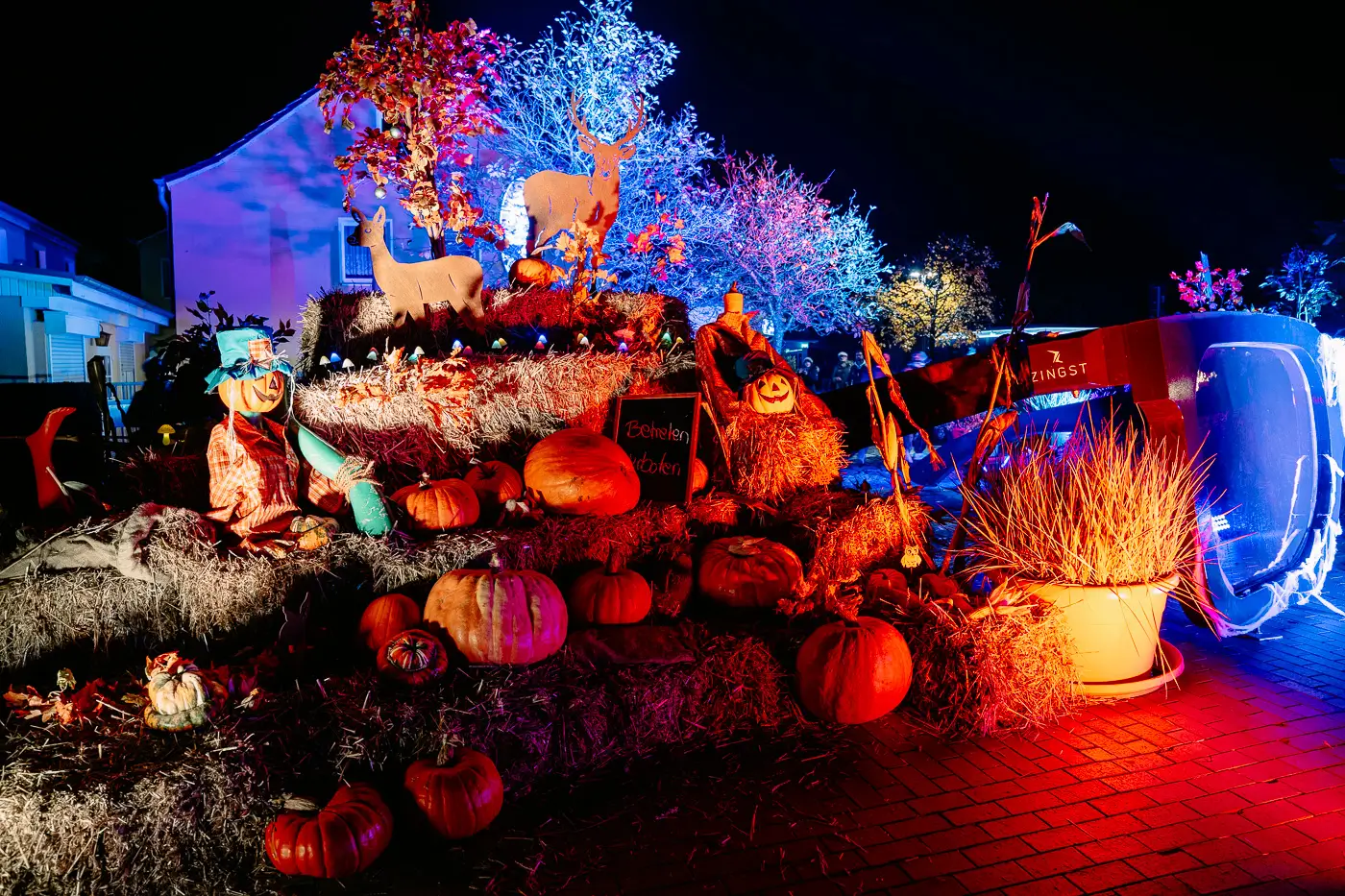 2025-10-30-Zingst-De-Harvst2 Herbstliche Halloween Dekoration in Zingst zum De Harvst