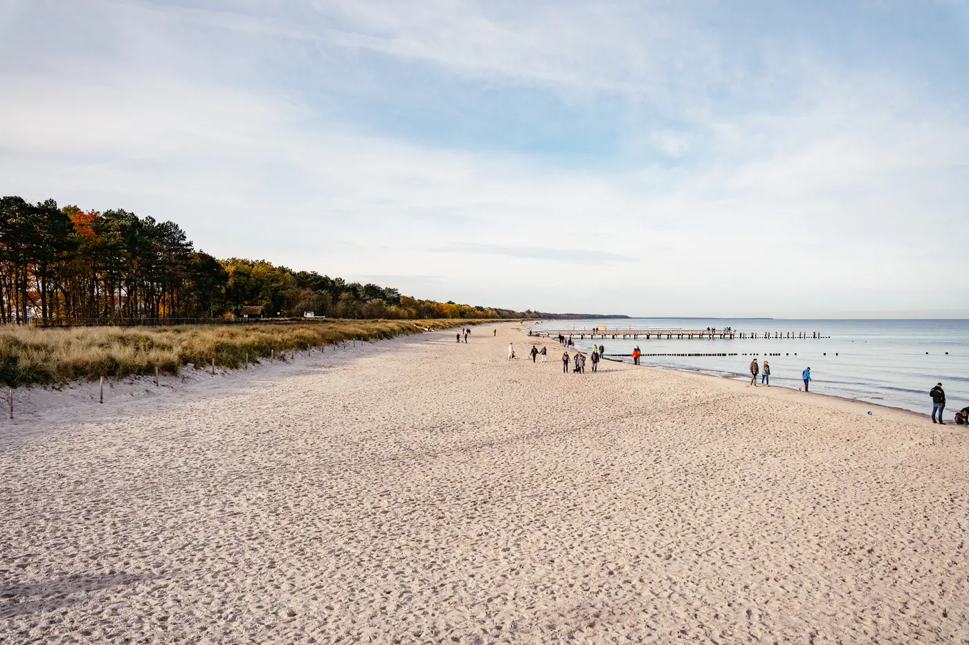 2025-10-30-Zingst-Herbst11 Endlos leere Sandstrände bei Zingst