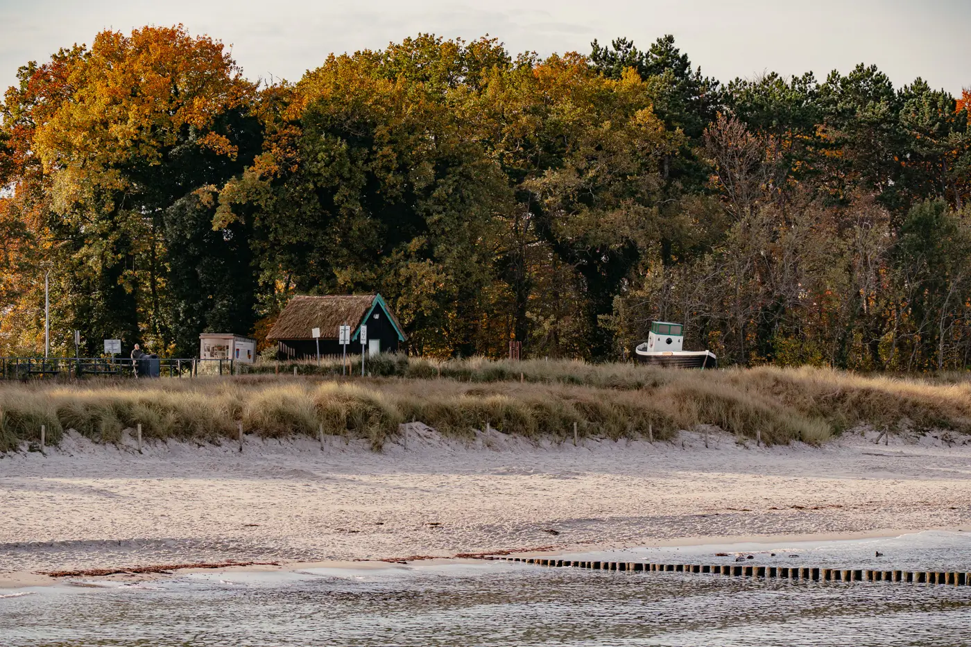 2025-10-30-Zingst-Herbst13 Haus und Boot vor herbstlichem Wald am Strand